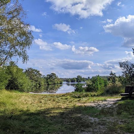 Sfeervol Chaletje In Een Rustige Bosrijke Omgeving Diessen Bagian luar foto