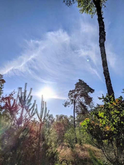 Sfeervol Chaletje In Een Rustige Bosrijke Omgeving Diessen Bagian luar foto