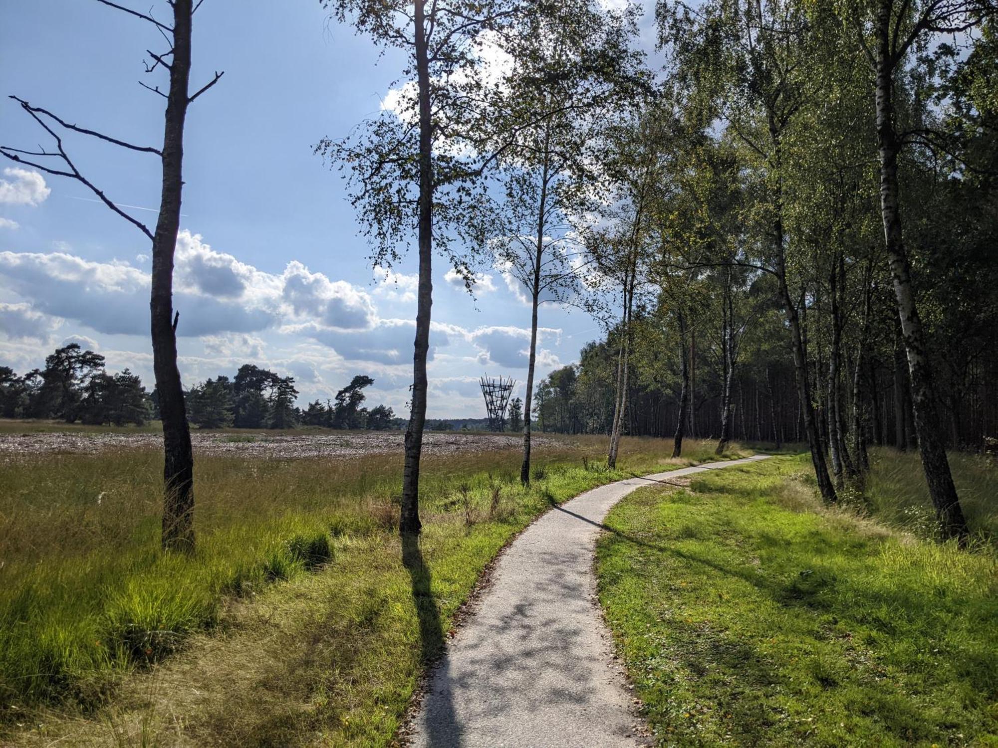 Sfeervol Chaletje In Een Rustige Bosrijke Omgeving Diessen Bagian luar foto
